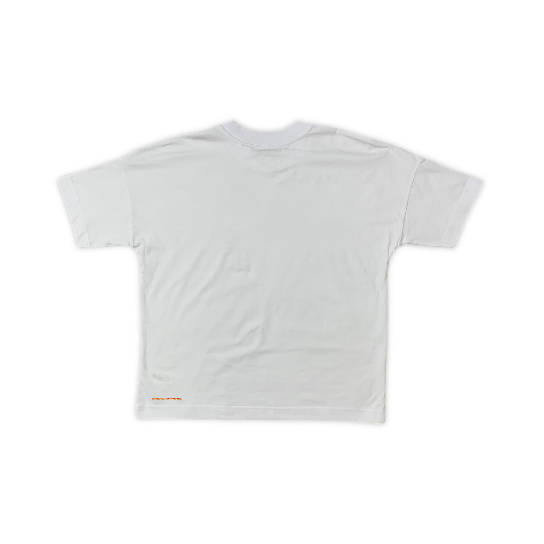 GUIDANCE WHITE